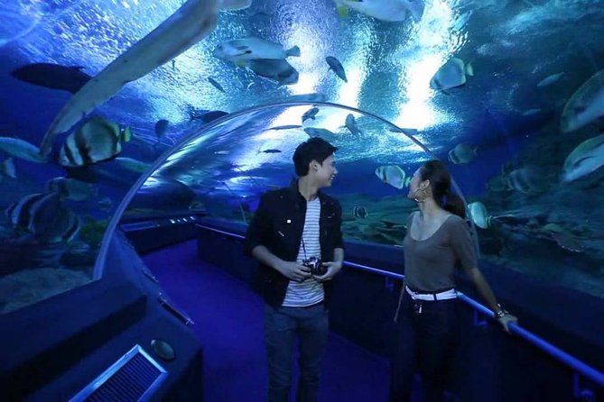 Underwater World Pattaya - Additional Information