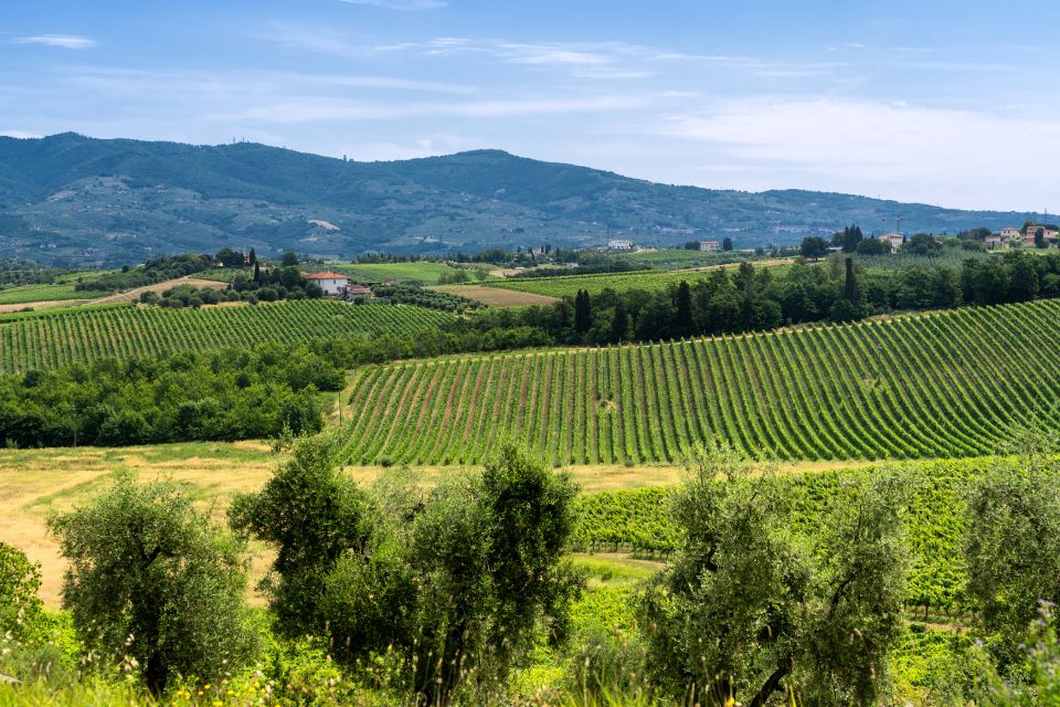 Vinci: The Footsteps of Leonardo and Wine Tasting Tour - Common questions