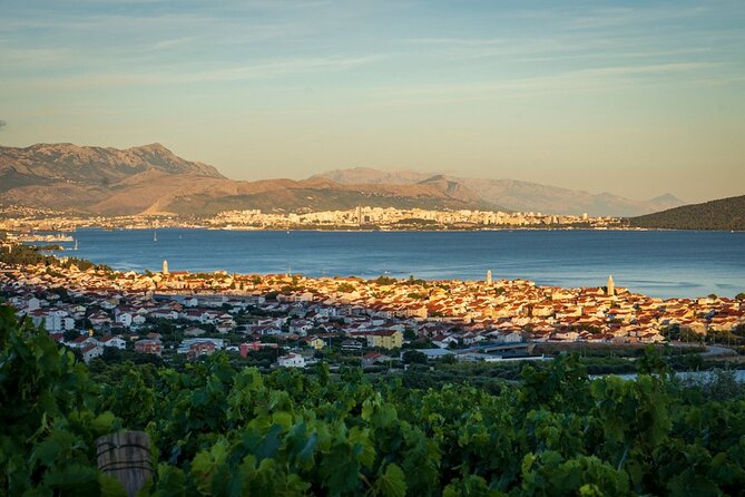 Vineyard Wine Tasting Experience With a Sea View From Split - Booking and Availability