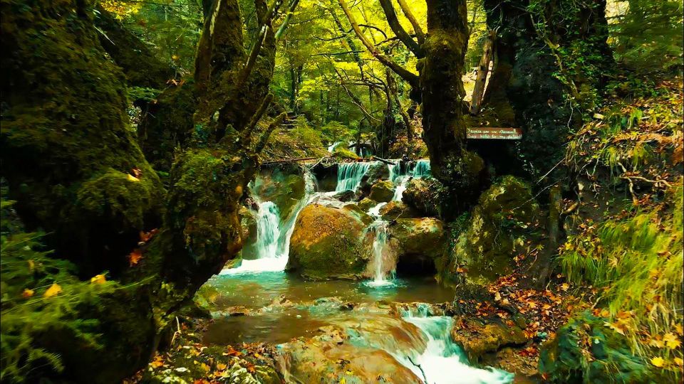 VIP Day Tour From Athens: Pavliani Forest Park TREK - Tour Features: Free Cancellation, Private Group