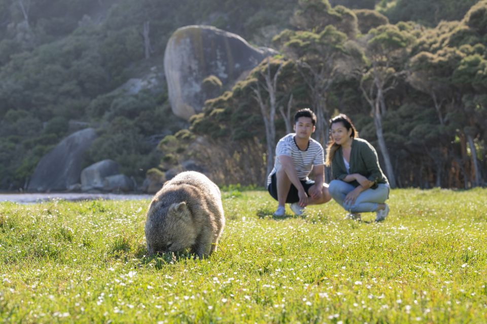 Wilsons Promontory National Park Day Tour From Melbourne - Inclusions