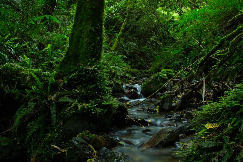 Zealandia by Night Tour - Location Features