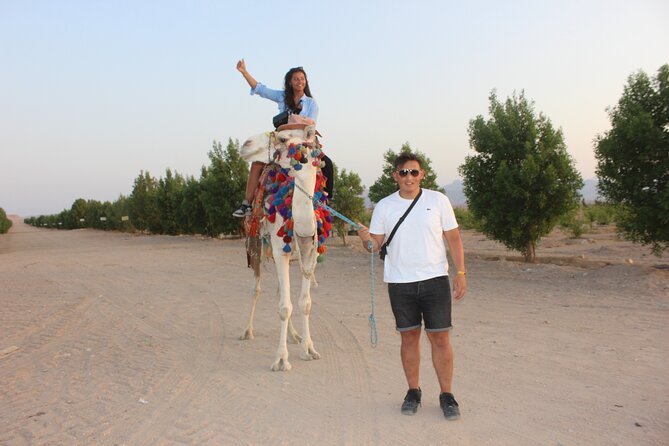 1 Hour Camel Ride Adventure and Safari Jeep 4*4 in Farm-Hurghada - Directions and Safari Details