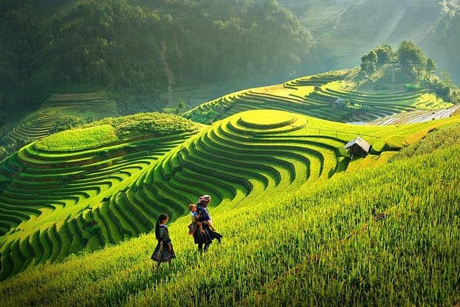 2 Days 1 Night Sapa Tour From Hanoi by Limousine - Itinerary Highlights