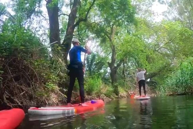 2 Hours and a Half Sup Tour in the Ciane Reserve in Syracuse - Common questions