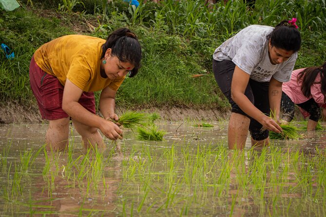 3-Day Guided Tour in Nagarkot With Ropain Festival Experience - Common questions