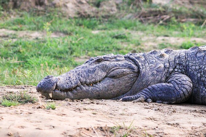 3 Days and 2 Nights Chitwan National Park Safari Tour in Pokhara - Additional Costs