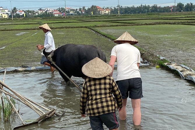 5-Hour Discovery Countryside by Cycling, Buffalo and Basket Boat - Common questions