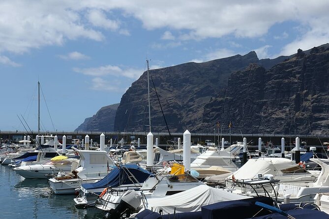 6-Hour Private Tour of Tenerife in a Luxury Vehicle - Customer Support