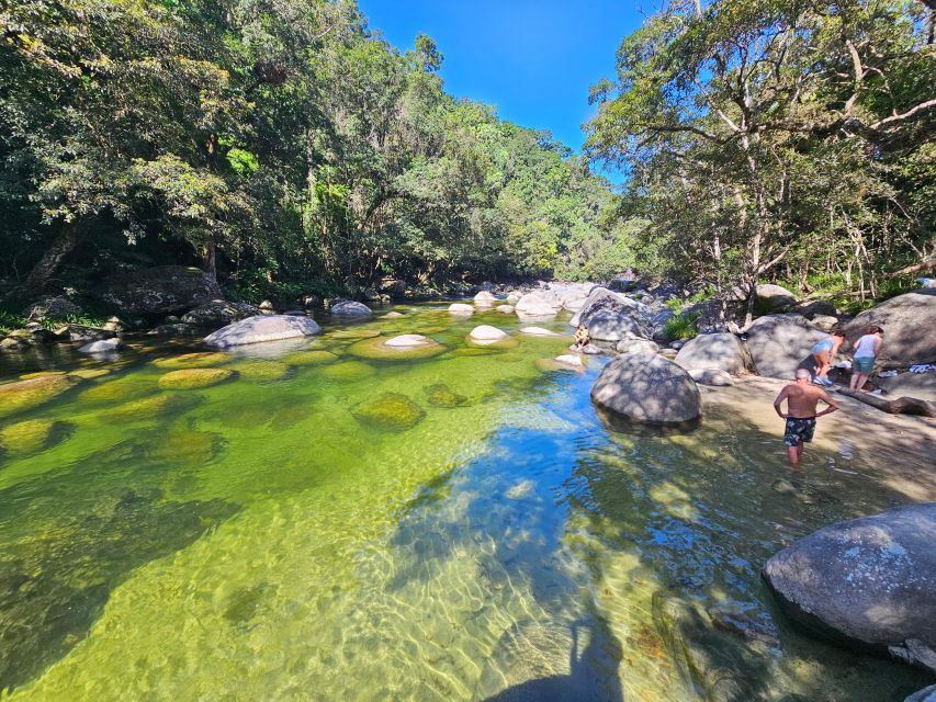 7B - Wildlife Tour & Mossman Gorge - Itinerary Highlights