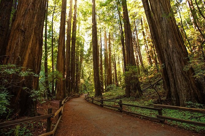 Alcatraz and Muir Woods Express With Golden Gate Bridge Visit - Safety Guidelines