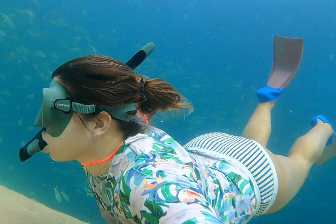 Arch of Cabo San Lucas Lands End Small-Group Snorkeling Tour - Additional Details