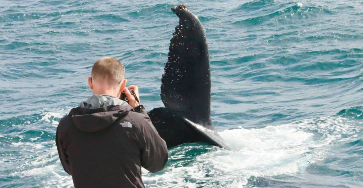 Augusta: Whale Watching Tour - Important Information