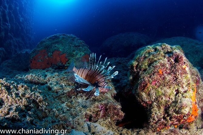 Boat Trip With Scuba and Snorkeling in Chania - Directions