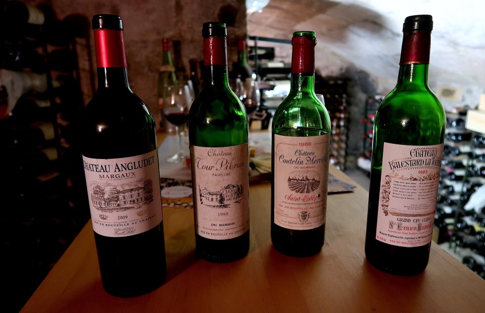 Bordeaux: Vintage Wine Tasting With Charcuterie Board - Biodynamic and Natural Wines Insight