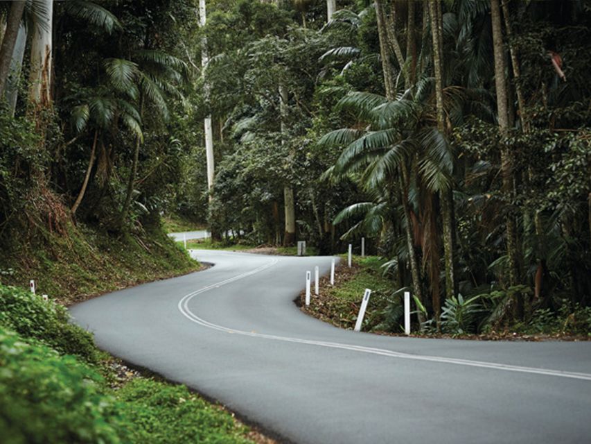 Brisbane: Daytime Glow Worm Caves Hop-on Hop-off Bus Tour - Reviews