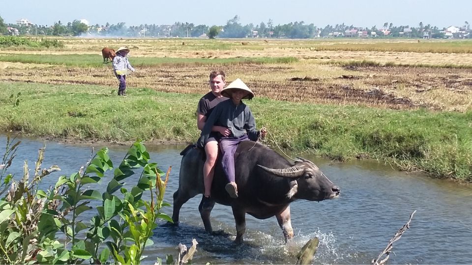 BUFFALO RIDING ADVENTURE AND BASKET BOAT TOUR - Tour From Hoi an City