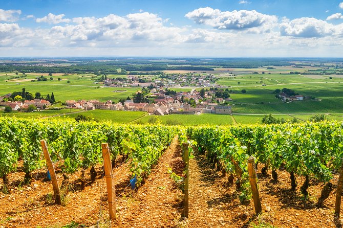 Burgundy Wine Tasting Small-Group Tour in Chablis From Paris - Meet Your Tour Guides