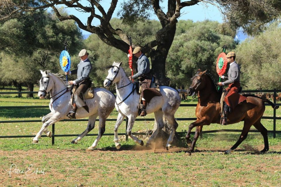 Cadiz: Andalusian Horses and Bulls Country Show - Last Words