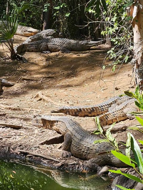 Cairns: Hartleys Crocodile Adventures Transfers and Return - Exclusions