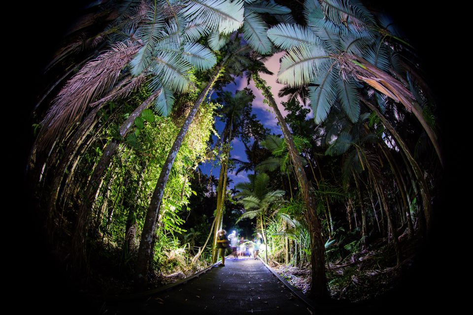 Cairns: Night Walk in Cairns Botanic Gardens - Meeting Point