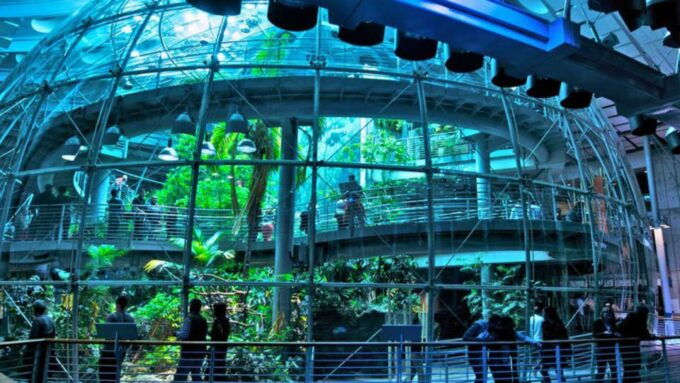 California Academy of Sciences Thursday NightLife Admission - Inclusions and Additional Details