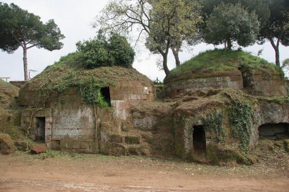 Cerveteri - the Etruscan Necropolis Private Tour From Rome - Common questions
