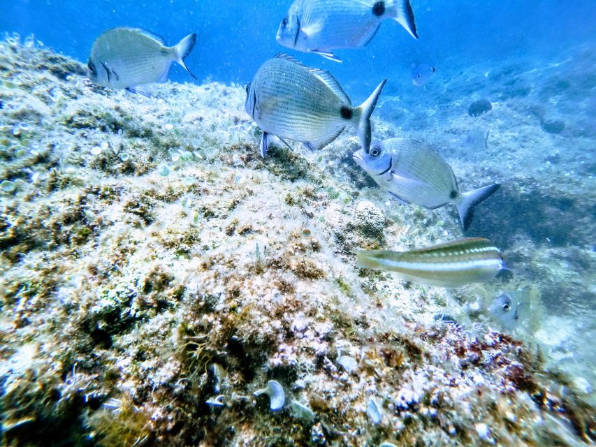 Chania: Try Scuba Diving - Last Words