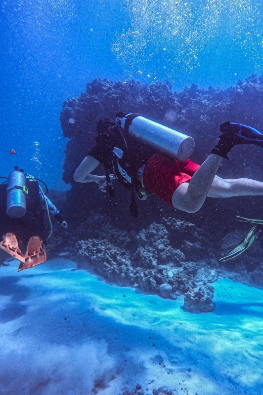 Chania:Try Scuba Diving 2shore Dives(Receive Certification) - Booking and Gift Options