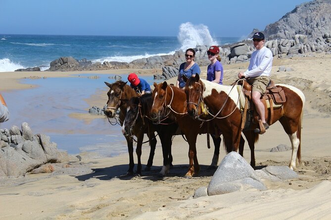 Combo Horseback Beach Ride & ATV Adventure in Los Cabos - Park Fee and Conservation