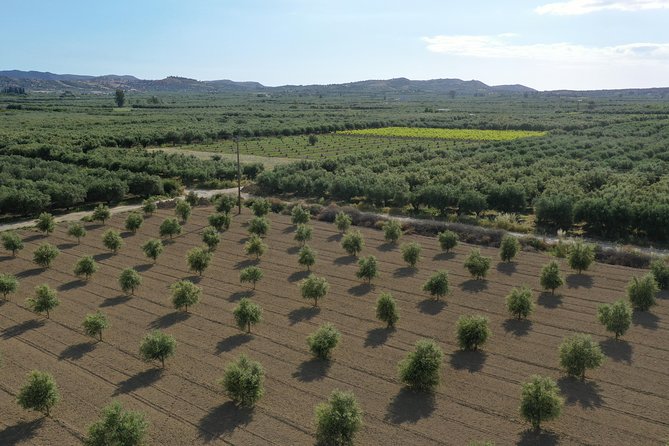 Discover the Local Agro Life- Food Tour With Cretan Vibes - Booking Information