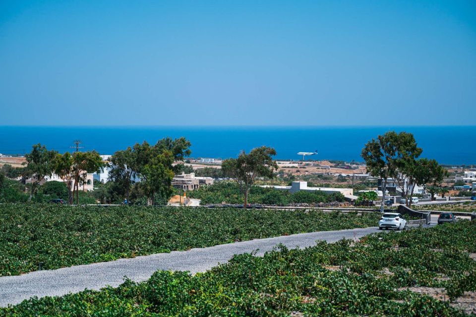 Discover the Wine Santorini Wine Tasting and Vineyard Tour - Customer Reviews