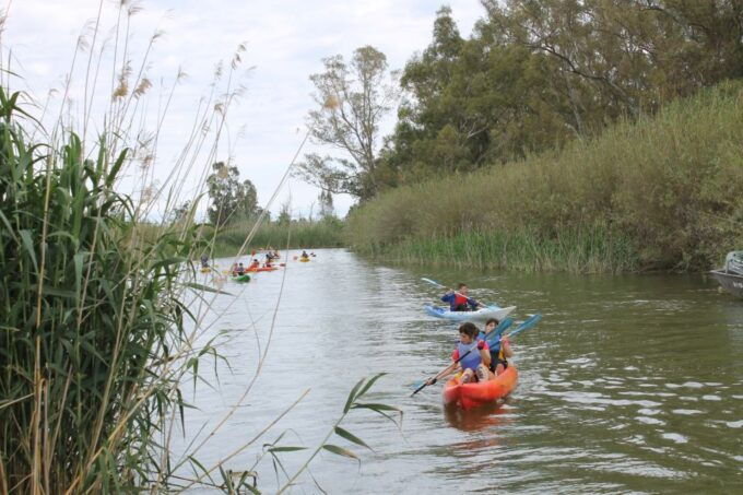 Ebro Delta: Guided Kayak Tour to Gracia Island - Last Words