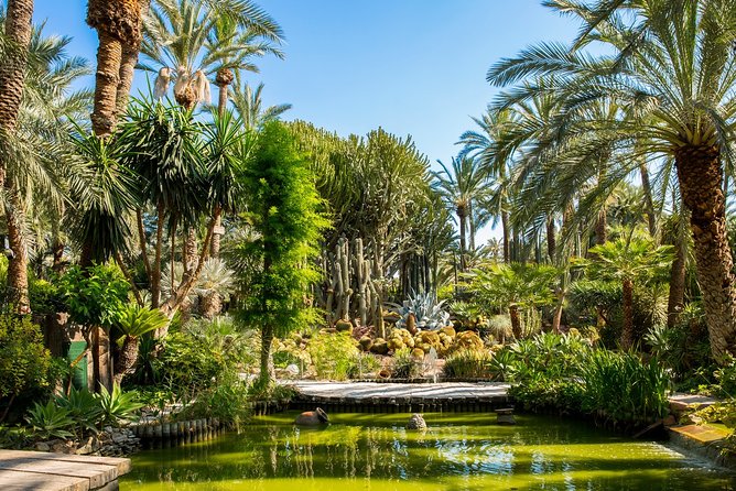 Experience the World Heritage City of Elche Private Tour - Customer Support