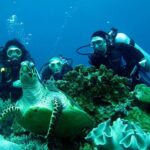 5 fethiye scuba diving experience by a local expert Fethiye Scuba Diving Experience By A Local Expert