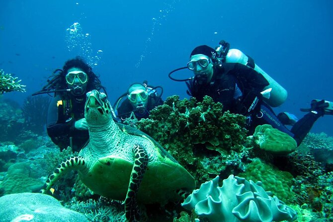 Fethiye Scuba Diving Experience By A Local Expert