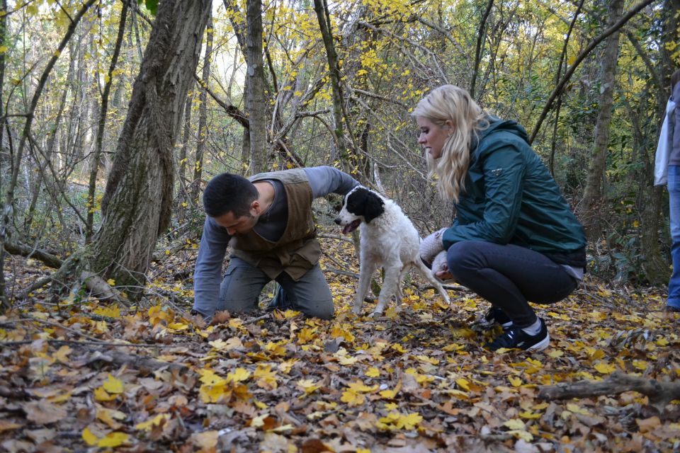 Florence: Truffle Hunting Tour, Wine Tasting, and Lunch - Reviews