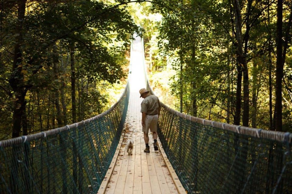 Foxfire Mountain: Hiking & Swinging Bridge Family Adventure - Key Highlights