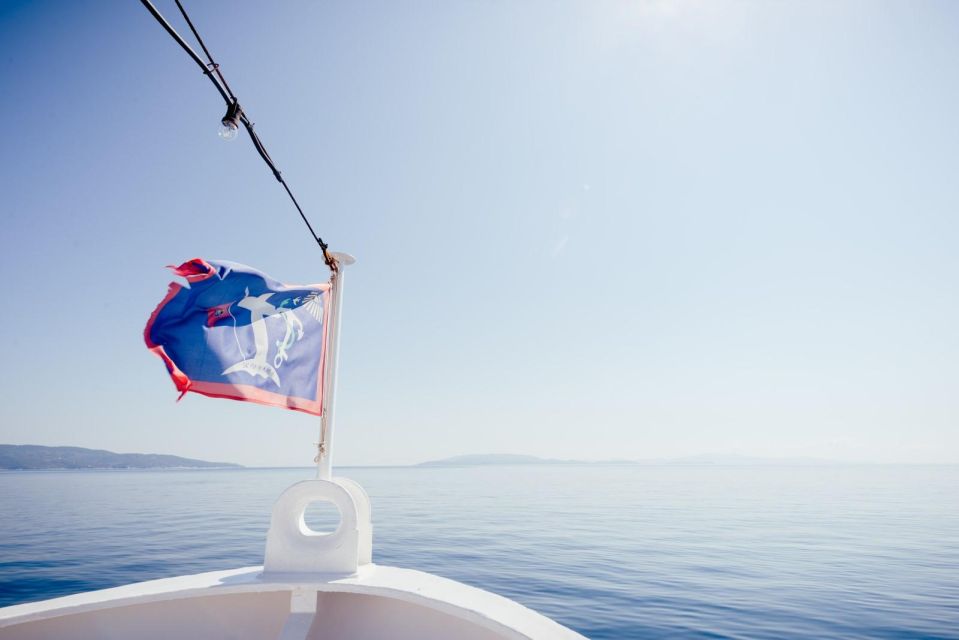 From Athens: Cruise to Skiathos Island With Bus Transfer - Inclusions