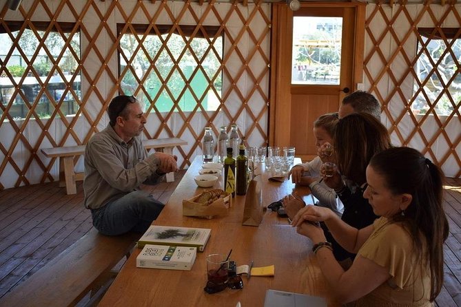 From Athens: Olive Oil Tasting and Olive Grove Experience - Pricing Details