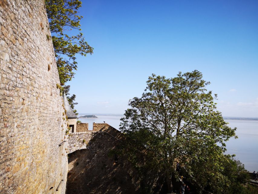 From Bayeux: Full-Day Mont Saint-Michel Tour - Visitor Reviews