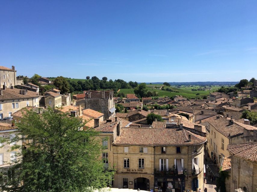From Bordeaux: Saint-Emilion Guided Wine Tasting Tour - Wine Tasting Experience