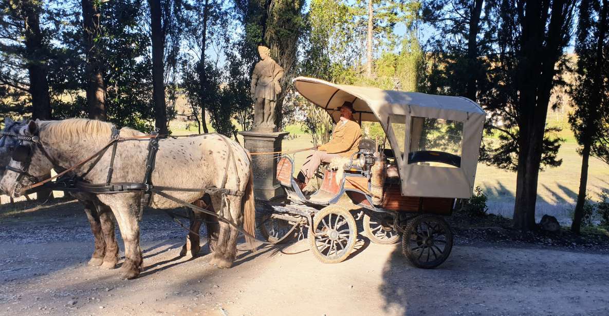 From Florence: Carriage Ride in Chianti Hills With Lunch - Additional Information