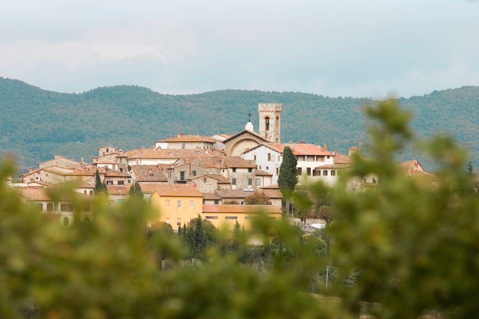 From Florence: Chianti Hills Wineries Tour With Tasting - Important Information