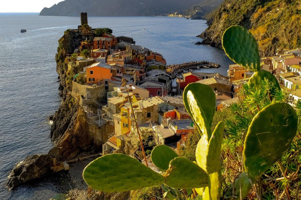 From Florence: Cinque Terre Private Tour - Experience Highlights