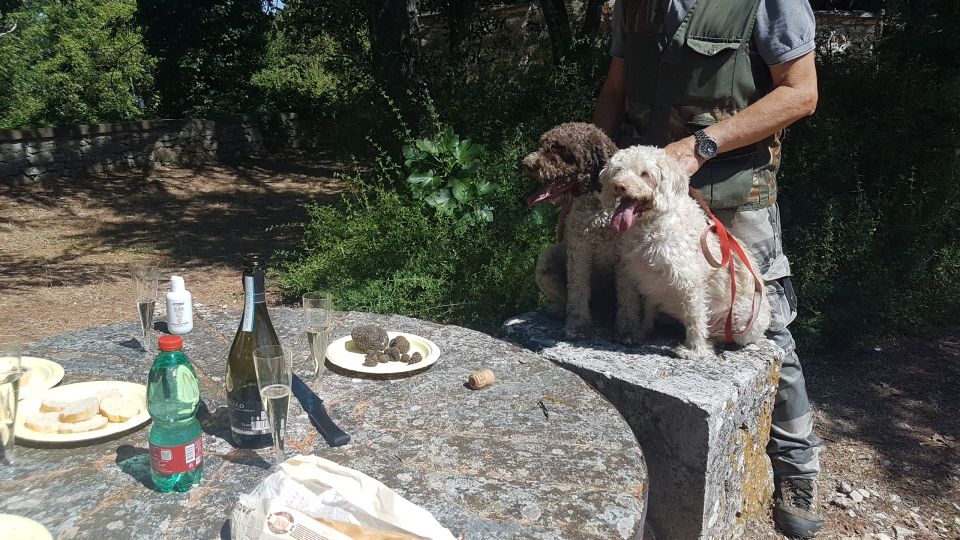 From Florence: Truffle Hunt and Lunch in the Countryside - Exclusions