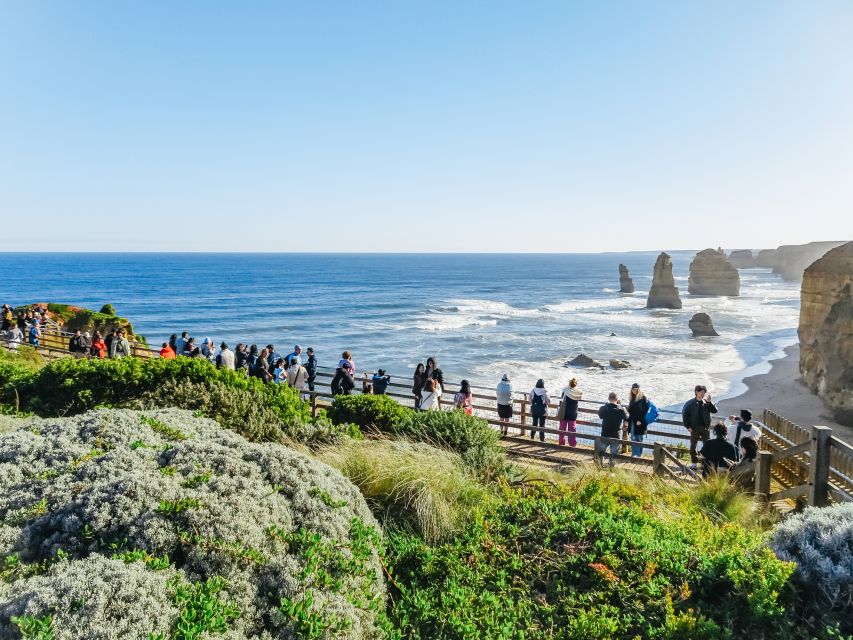 From Melbourne: Great Ocean Road, 12 Apostles, Wildlife Tour - Inclusions