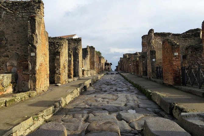 From Naples: Pompei and Sorrento City Sightseeing - Last Words