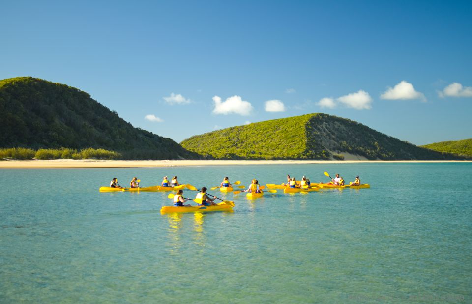 From Noosa: Dolphin Sea Kayaking and Beach 4X4 Tour - Restrictions and Requirements