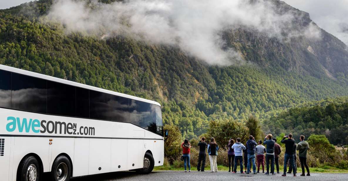 From Queenstown: Milford Sound Full-Day Tour With Lunch - Visitor Reviews